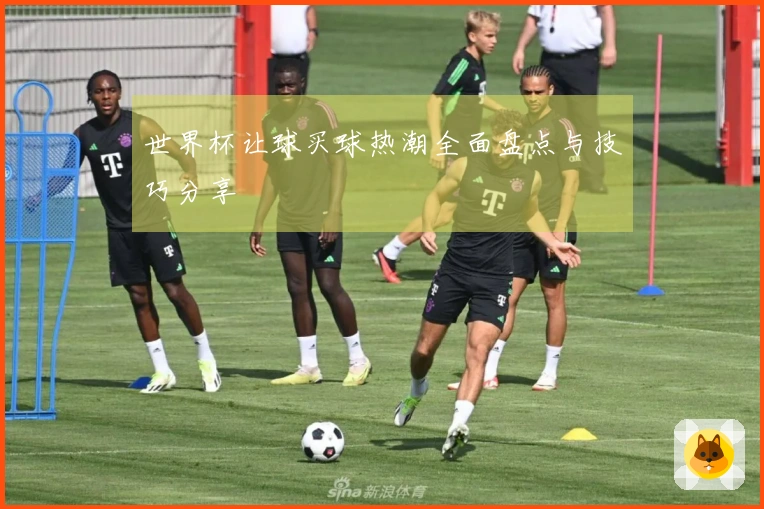 世界杯让球买球热潮全面盘点与技巧分享