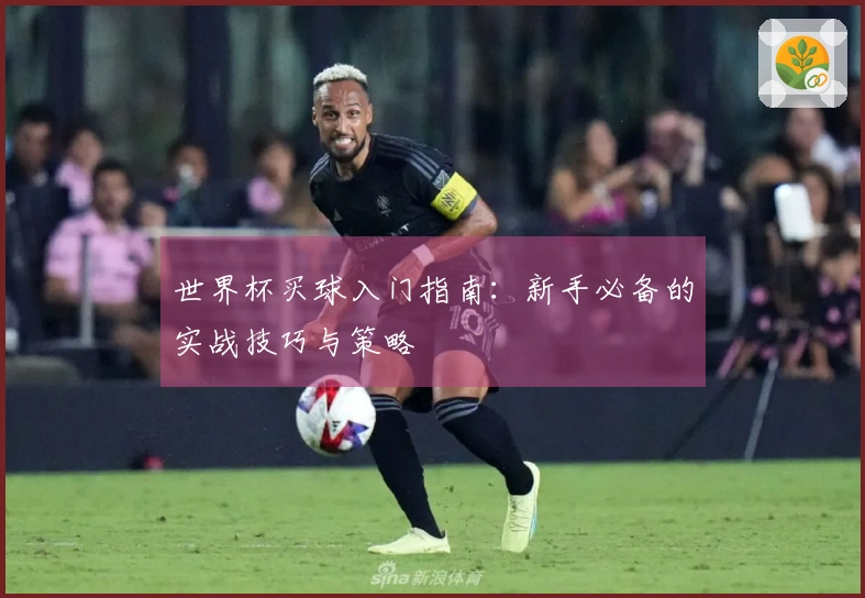 世界杯买球入门指南：新手必备的实战技巧与策略