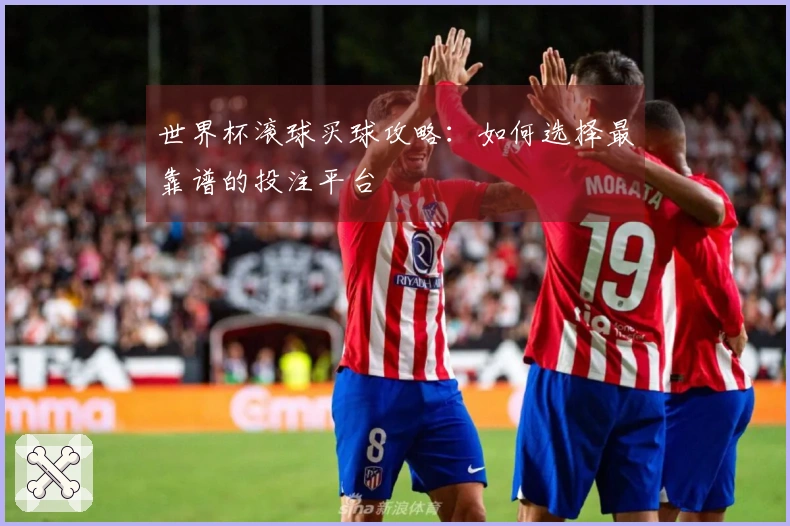 世界杯滚球买球攻略：如何选择最靠谱的投注平台
