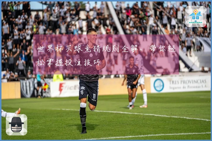 世界杯买球竞猜规则全解，带你轻松掌握投注技巧