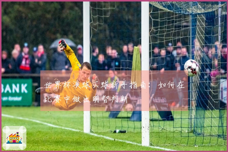 世界杯滚球买球新手指南：如何在比赛中做出明智判断