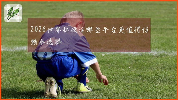 2026世界杯投注哪些平台更值得信赖和选择