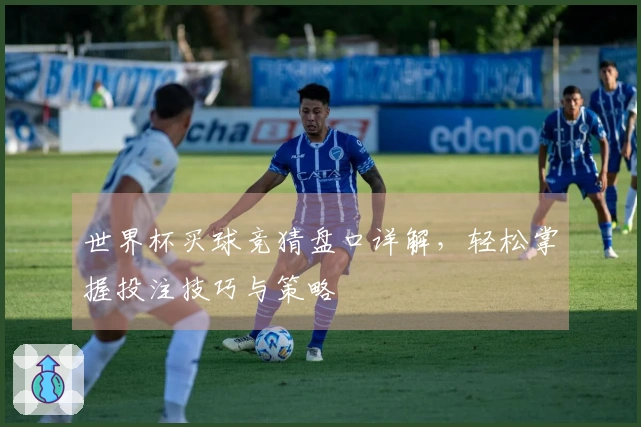 世界杯买球竞猜盘口详解，轻松掌握投注技巧与策略