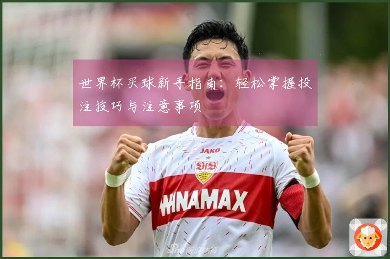 世界杯买球新手指南：轻松掌握投注技巧与注意事项