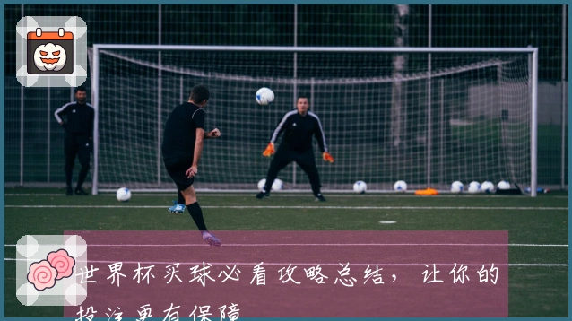世界杯买球必看攻略总结，让你的投注更有保障
