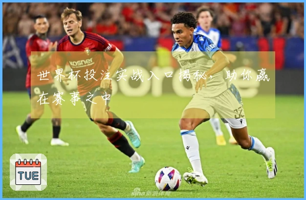 世界杯投注实战入口揭秘，助你赢在赛事之中