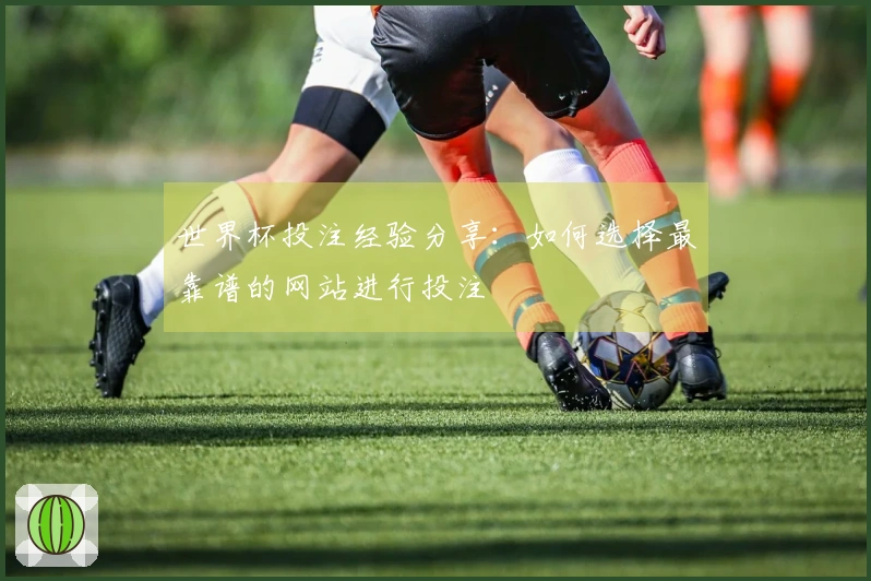 世界杯投注经验分享：如何选择最靠谱的网站进行投注