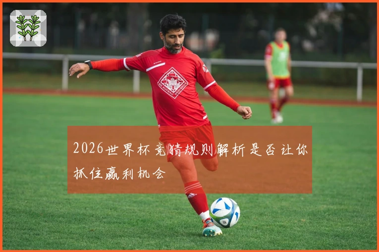 2026世界杯竞猜规则解析是否让你抓住赢利机会